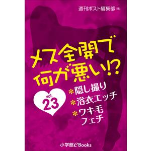 メス全開で何が悪い!? vol.23〜隠し撮り、浴衣エッチ、ワキ毛フェチ〜 電子書籍版 / 週刊ポスト編集部(編)/杉野BEAT(イラスト)｜ebookjapan