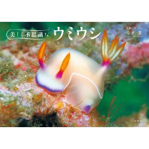 ウミウシ 特徴がひと目でわかる図解付き 1260種 / 小野 篤司 著