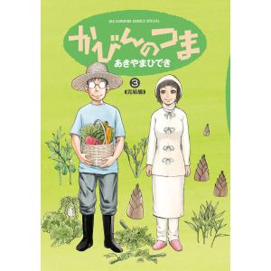 かびんのつま (3) 電子書籍版 / あきやまひでき｜ebookjapan