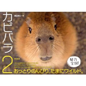 カピバラ2 電子書籍版 / 渡辺克仁｜ebookjapan