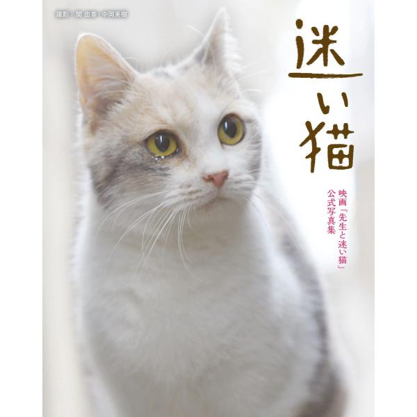 迷い猫 電子書籍版 / 関由香/中岡美樹