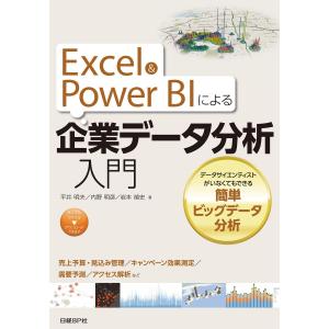 Excel&Power BIによる企業データ分析入門 データサイエンティストがいなくてもできる簡単ビッグデータ分析