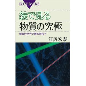 絵で見る物質の究極 極微の世界で踊る素粒子 電子書籍版 / 江尻宏泰｜ebookjapan