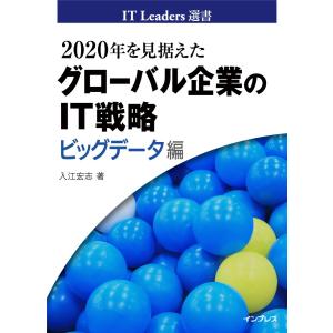 2020年を見据えたグローバル企業のIT戦略 ビッグデータ編 電子書籍版 / 入江宏志｜ebookjapan