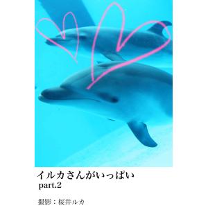イルカさんがいっぱいpart.2 電子書籍版 / 撮影:桜井ルカ｜ebookjapan