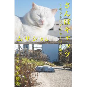 さんぽキャッツ ムサシさん 〜モラトリアムヒーロー編〜 電子書籍版 / 撮影:黒木康隆｜ebookjapan