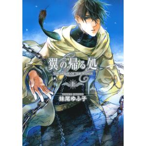 翼の帰る処 (上) 電子書籍版 / 妹尾ゆふ子/ことき｜ebookjapan