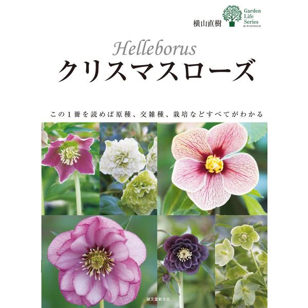 クリスマスローズ 電子書籍版 / 横山直樹