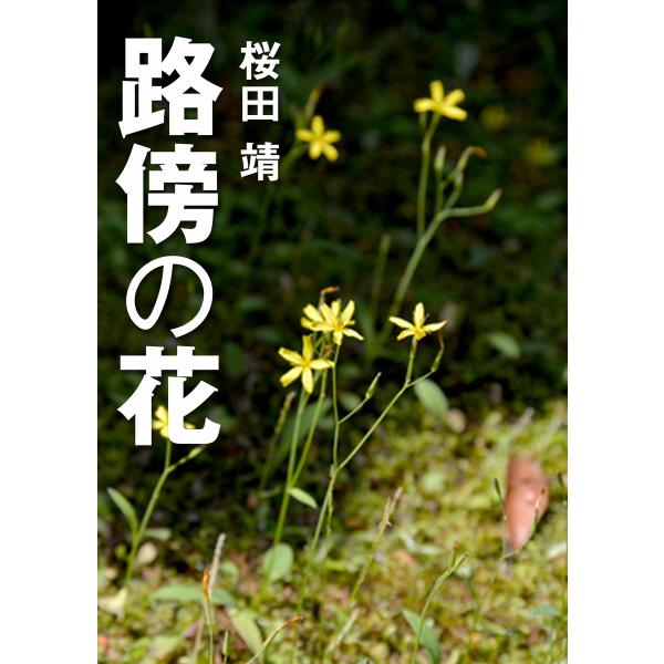 路傍の花 電子書籍版 / 桜田靖
