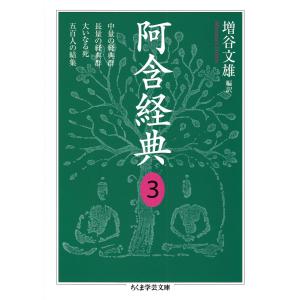 阿含経典3 電子書籍版 / 増谷文雄
