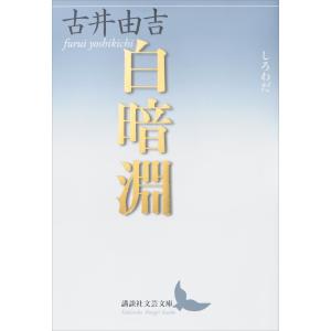 白暗淵 電子書籍版 / 古井由吉