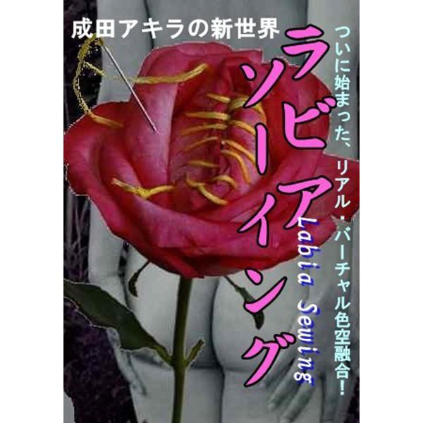 ラビアソーイング ついに始まった、リアル・バーチャル色空融合! 電子書籍版 / 成田アキラ