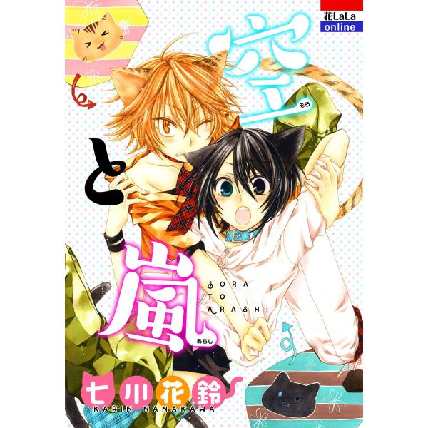 空と嵐 電子書籍版 / 七川花鈴