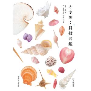 カラー図説白癬 福代 良一 : ブックスドリーム 学参ストア1号店 - 通販