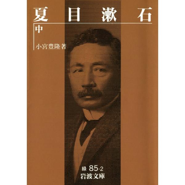 夏目漱石 中 電子書籍版 / 小宮豊隆著