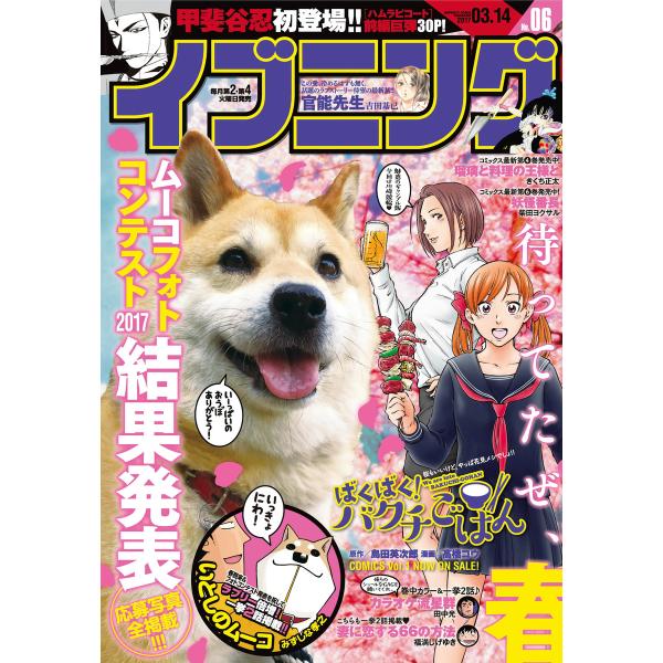 イブニング 2017年6号 [2017年2月28日発売] 電子書籍版 / イブニング編集部