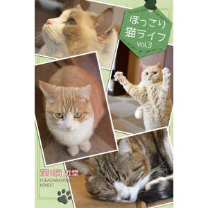 ほっこり猫ライフ vol.3 電子書籍版 / 深川猫近堂/Blue Label｜ebookjapan