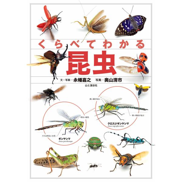 くらべてわかる 昆虫 電子書籍版 / 著・写真:永幡嘉之 写真:奥山清市