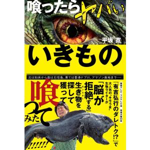 日本原色カメムシ図鑑 陸生カメムシ類 第3巻/石川忠/高井幹夫/安永智秀
