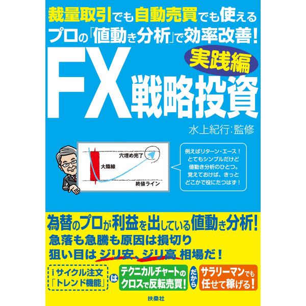 FX戦略投資 実践編 電子書籍版 / 水上紀行