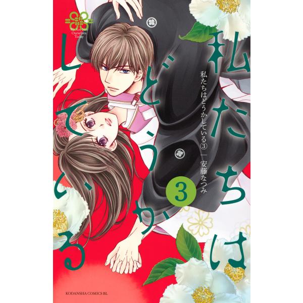 私たちはどうかしている (3) 電子書籍版 / 安藤なつみ