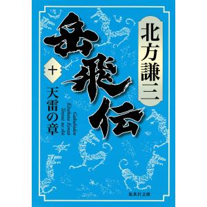 岳飛伝 十 天雷の章 電子書籍版 / 北方謙三