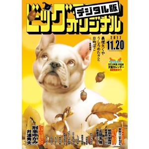 ビッグコミックオリジナル 2017年22号(2017年11月4日発売) 電子書籍版