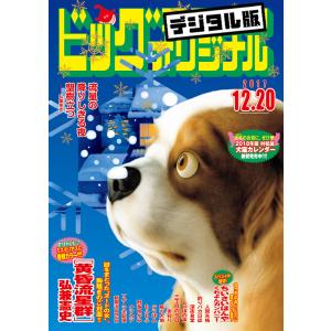 ビッグコミックオリジナル 2017年24号(2017年12月5日発売) 電子書籍版
