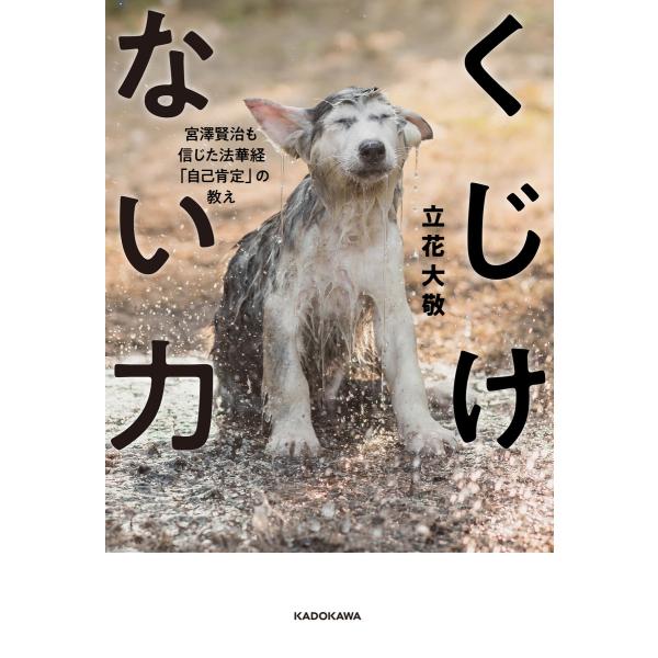 くじけない力 宮澤賢治も信じた法華経「自己肯定」の教え 電子書籍版 / 著者:立花大敬