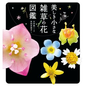 美しき小さな雑草の花図鑑 電子書籍版 / 文:多田多恵子