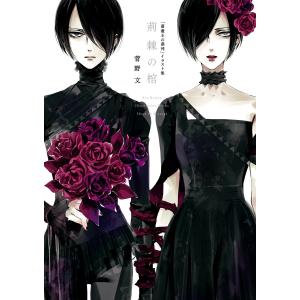 送料無料 純情ロマンチカ 1-29巻 中村春菊 BL ボーイズラブ 中古