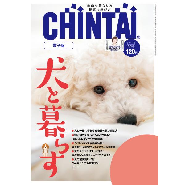 CHINTAI電子版 2018年9月号 電子書籍版 / 著:株式会社CHINTAI