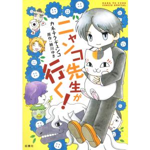 新品 / SPRIGGAN スプリガン 復刻BOX (vol.1-3) 全巻セット : 漫画全巻