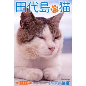 遊々さんぽ 「田代島の猫」写真集 後編 電子書籍版 / 作者(撮影):MacMarron