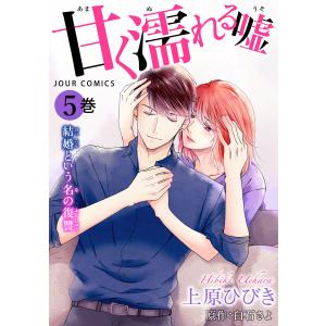 甘く濡れる嘘〜結婚という名の復讐〜 : 5 電子書籍版