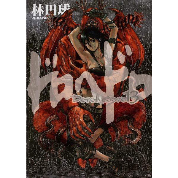 ドロヘドロ (13) 電子書籍版 / 林田球