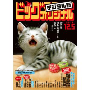 ビッグコミックオリジナル 2018年23号(2018年11月20日発売) 電子書籍版｜ebookjapan