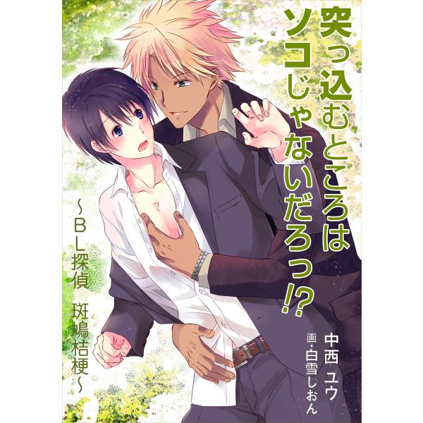 突っ込むところはソコじゃないだろっ!? 〜BL探偵 斑鳩桔梗〜 電子書籍版 / 中西ユウ/白雪しおん