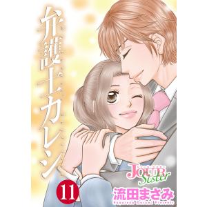 弁護士カレシ : 11 電子書籍版 / 流田まさみ