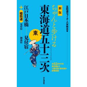 ゼンリン（ZENRIN） ゼンリン住宅地図 B4判 千葉県 香取市1（佐原
