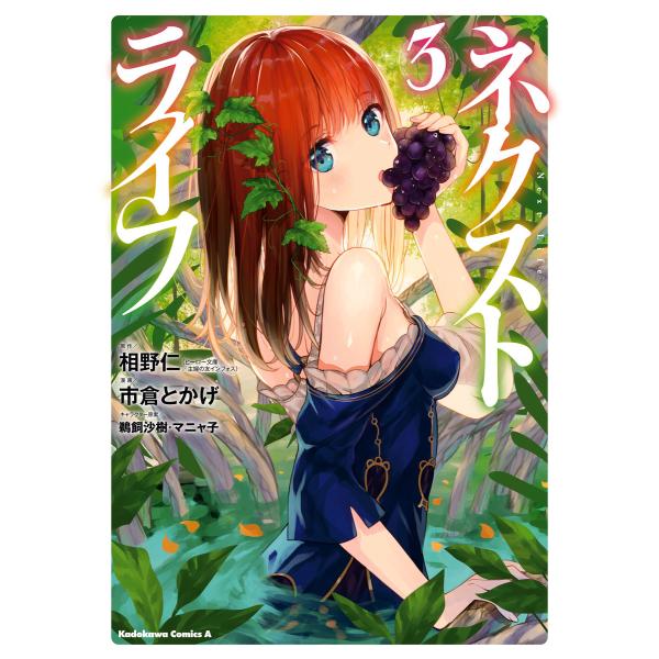 ネクストライフ(3) 電子書籍版 / 原作:相野仁(ヒーロー文庫/イマジカインフォス) 漫画:市倉と...