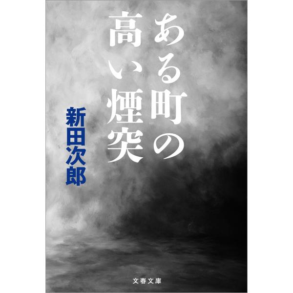 ある町の高い煙突 電子書籍版 / 新田次郎