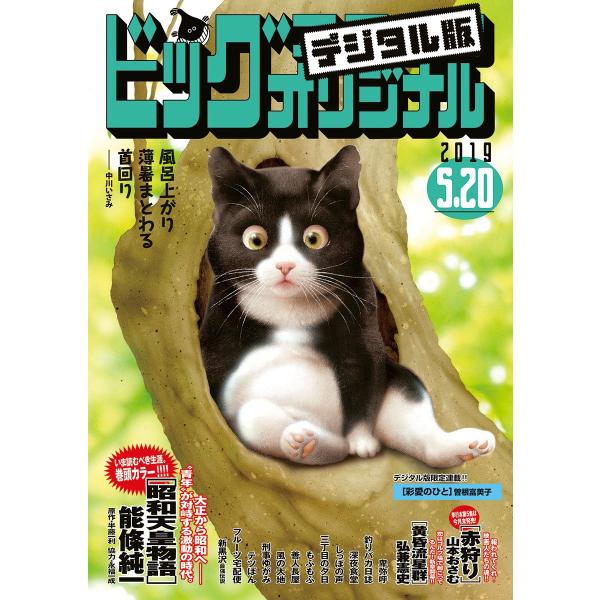 ビッグコミックオリジナル 2019年10号(2019年5月2日発売) 電子書籍版