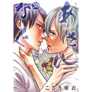 送料無料 純情ロマンチカ 1-29巻 中村春菊 BL ボーイズラブ 中古