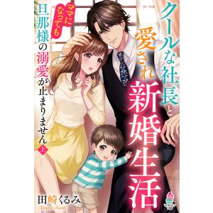 クールな社長と愛され新婚生活〜ママになっても旦那様の溺愛が止まりません