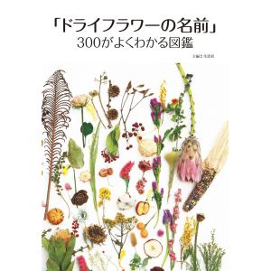 「ドライフラワーの名前」300がよくわかる図鑑 電子書籍版 / 主婦と生活社｜ebookjapan