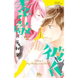 素敵な彼氏 (10) 電子書籍版 / 河原和音