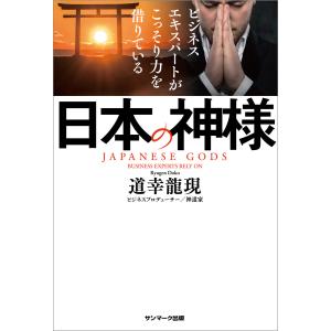 ラングマン 人体発生学 第12版 ラングマン人体発生学 / サドラー，T．W．【著】/山田 重人/安田