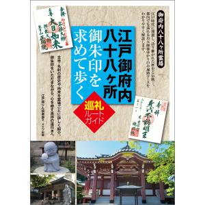 ゼンリン（ZENRIN） ゼンリン住宅地図 A4判 東京都 八王子市2（南2