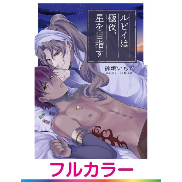 【フルカラー】ルビイは極夜、星を目指す【単話】 5 電子書籍版 / 著:砂糖いちご